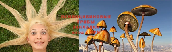 PSILOCYBIN Новодвинск