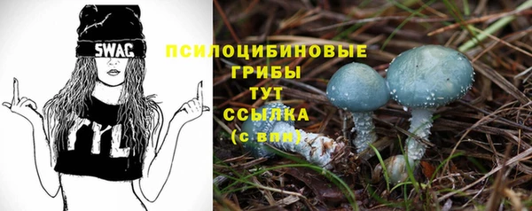 PSILOCYBIN Новодвинск